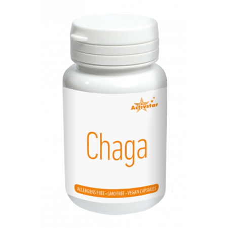 Chaga 60 vegane Kapseln
